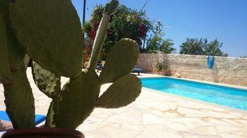 Prickly Pear Hotel Neo Chorio Bagian luar foto